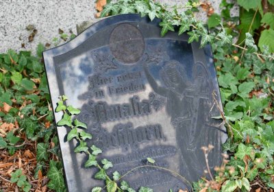 Městský hřbitov Bílina, Omnium, 2018