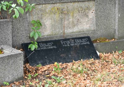 Městský hřbitov Bílina, Omnium, 2018