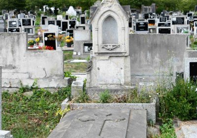 Městský hřbitov Bílina, Omnium, 2018