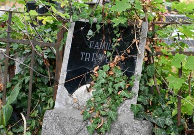 Městský hřbitov Bílina, Omnium, 2018