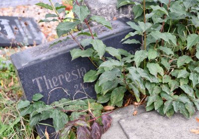 Městský hřbitov Bílina, Omnium, 2018