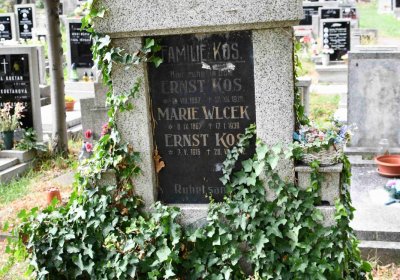 Městský hřbitov Bílina, Omnium, 2018