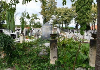 Městský hřbitov Bílina, Omnium, 2018