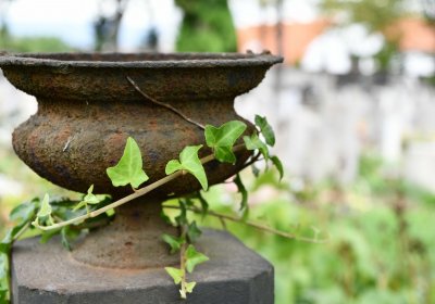 Městský hřbitov Bílina, Omnium, 2018