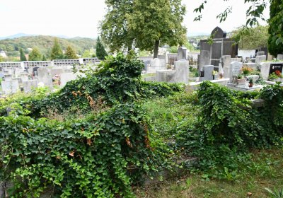 Městský hřbitov Bílina, Omnium, 2018