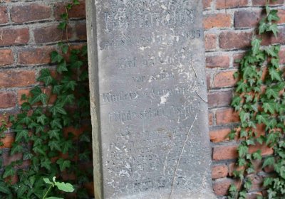 Židovský hřbitov Bílina, Omnium, 2018