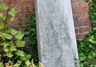 Židovský hřbitov Bílina, Omnium, 2018