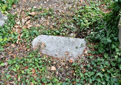 Židovský hřbitov Bílina, Omnium, 2018