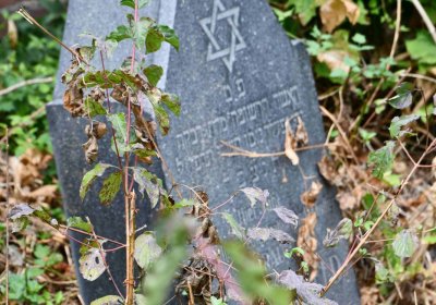 Židovský hřbitov Bílina, Omnium, 2018