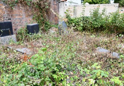 Židovský hřbitov Bílina, Omnium, 2018