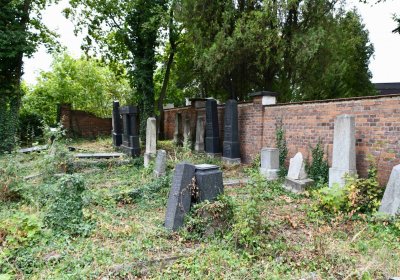 Židovský hřbitov Bílina, Omnium, 2018