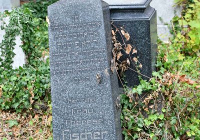 Židovský hřbitov Bílina, Omnium, 2018