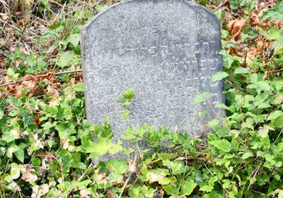 Židovský hřbitov Bílina, Omnium, 2018