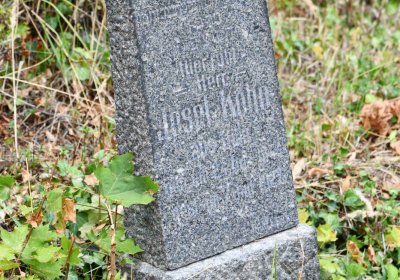 Židovský hřbitov Bílina, Omnium, 2018