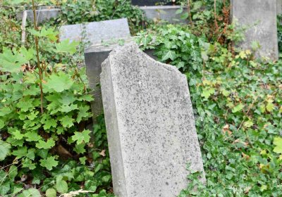 Židovský hřbitov Bílina, Omnium, 2018