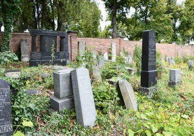 Židovský hřbitov Bílina, Omnium, 2018