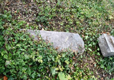 Židovský hřbitov Bílina, Omnium, 2018