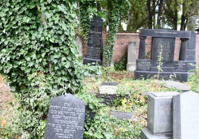 Židovský hřbitov Bílina, Omnium, 2018