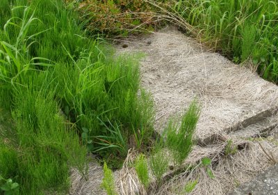 Kmínek Michal, 2020