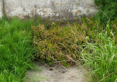 Kmínek Michal, 2020