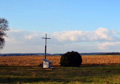 Šimůnek Tomáš, 2017