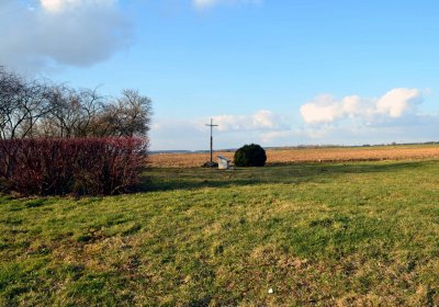 Šimůnek Tomáš, 2017