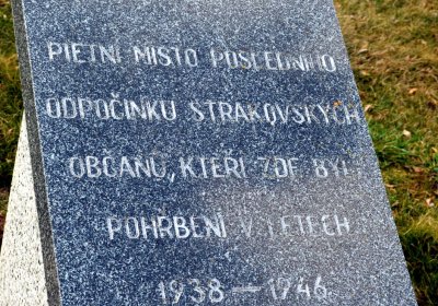 Šimůnek Tomáš, 2017