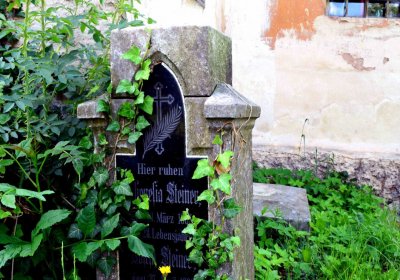 Šimůnek Tomáš, 2016