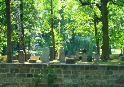 Poskočilová Miroslava, ŽO Děčín, 2006