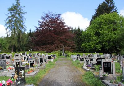 Městský hbřitov Aś, Brezina Peter, 2017