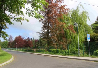 Mětský hbřitov Aš, Brezina Peter, 2017