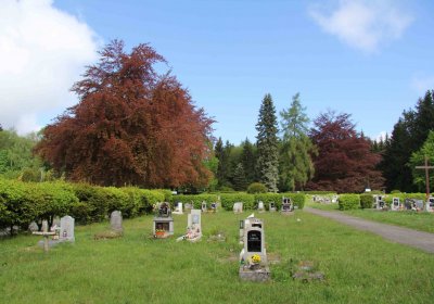 Mětský hbřitov Aš, Brezina Peter, 2017