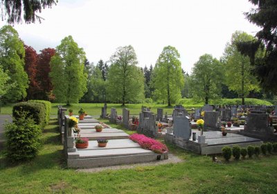 Mětský hbřitov Aš, Brezina Peter, 2017