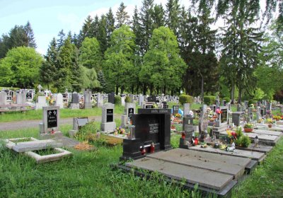 Mětský hbřitov Aš, Brezina Peter, 2017