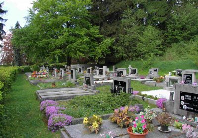 Mětský hbřitov Aš, Brezina Peter, 2017