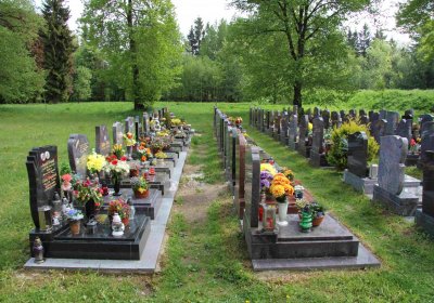 Mětský hbřitov Aš, Brezina Peter, 2017