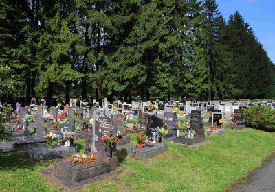 Mětský hbřitov Aš, Brezina Peter, 2017