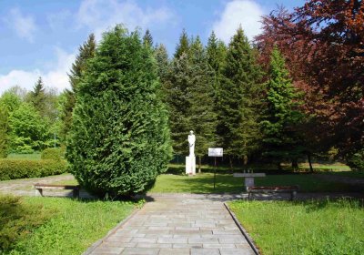 Mětský hbřitov Aš, Brezina Peter, 2017