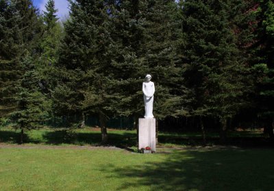 Mětský hbřitov Aš, Brezina Peter, 2017