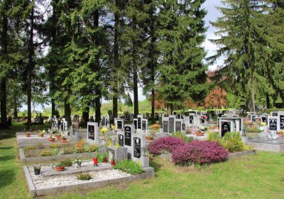 Mětský hbřitov Aš, Brezina Peter, 2017