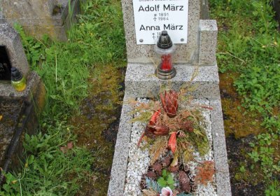 Mětský hbřitov Aš, Brezina Peter, 2017