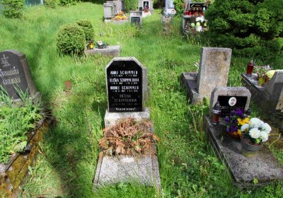 Mětský hbřitov Aš, Brezina Peter, 2017