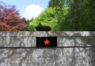 Mětský hbřitov Aš, Brezina Peter, 2017