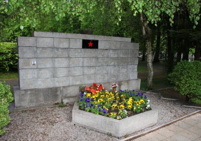 Mětský hbřitov Aš, Brezina Peter, 2017