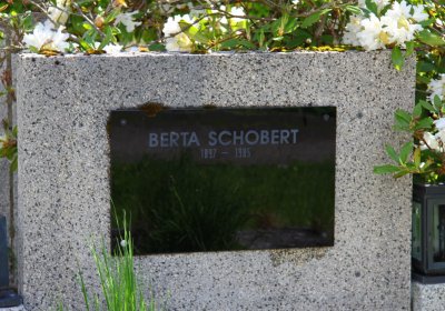 Mětský hbřitov Aš, Brezina Peter, 2017