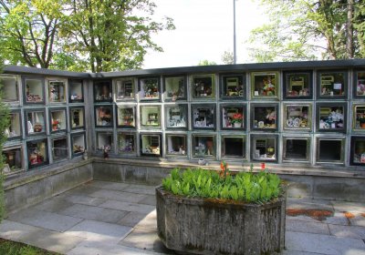 Mětský hbřitov Aš, Brezina Peter, 2017