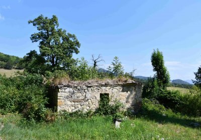 Milešov u kostela, Omnium, 2018