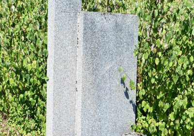 Milešov u kostela, Omnium, 2018