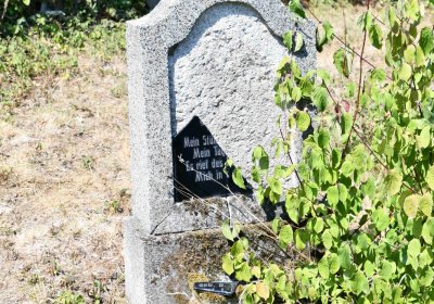 Milešov u kostela, Omnium, 2018