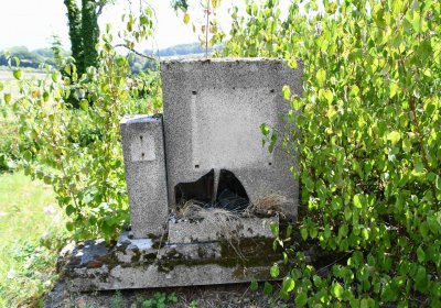 Milešov u kostela, Omnium, 2018